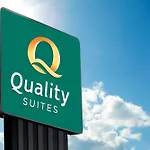 Quality Nancy Zenith